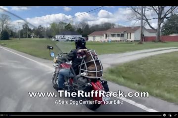 The Ruff Rack's first video ad